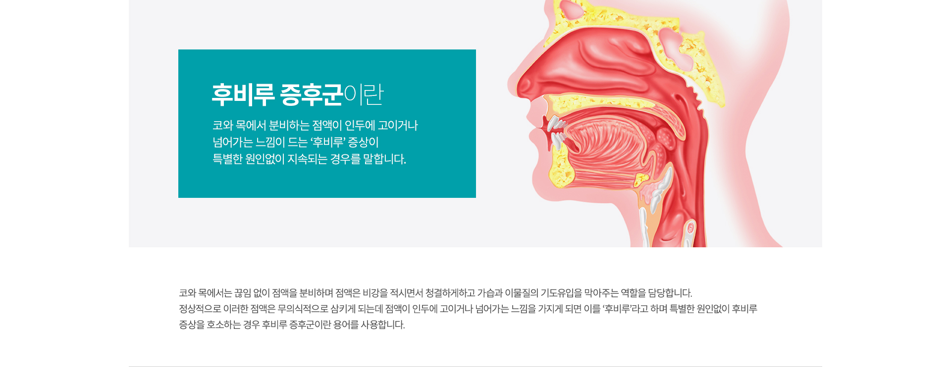 �ĺ�� ���ı�