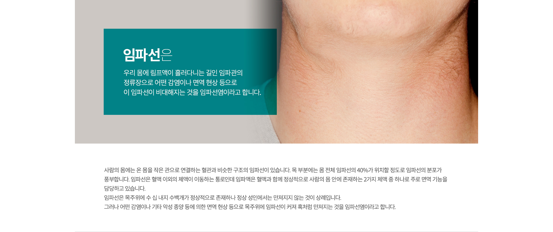 ���ļ���