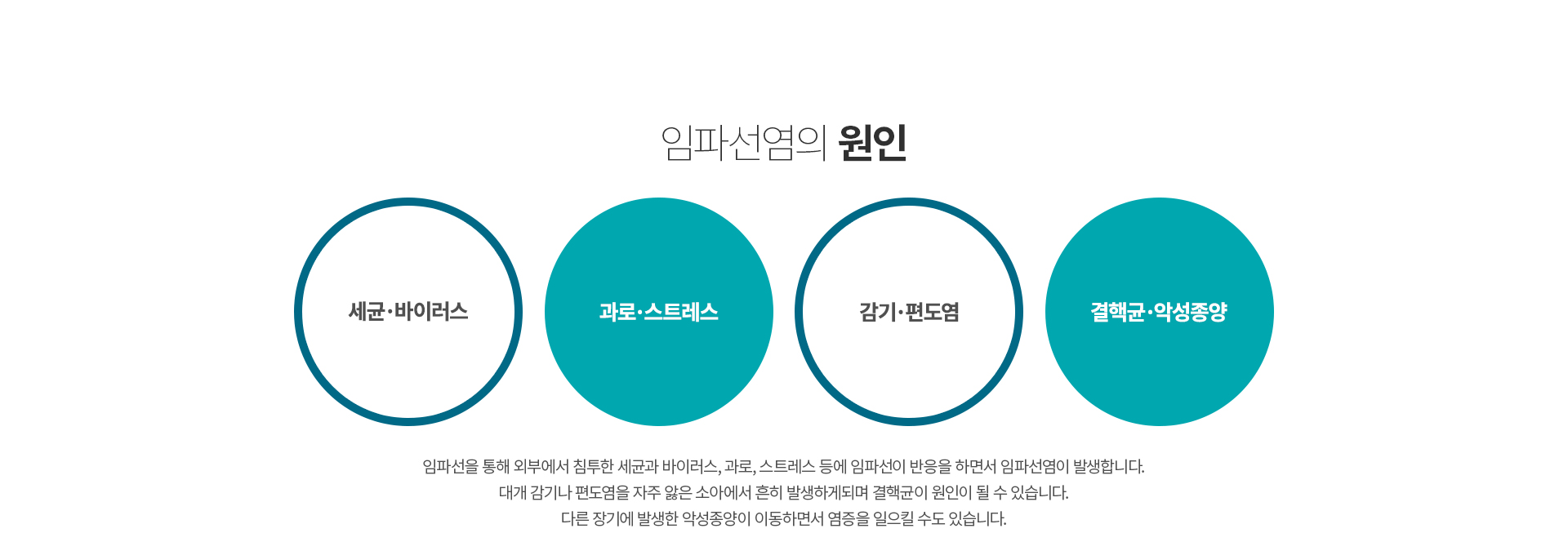 ���ļ���