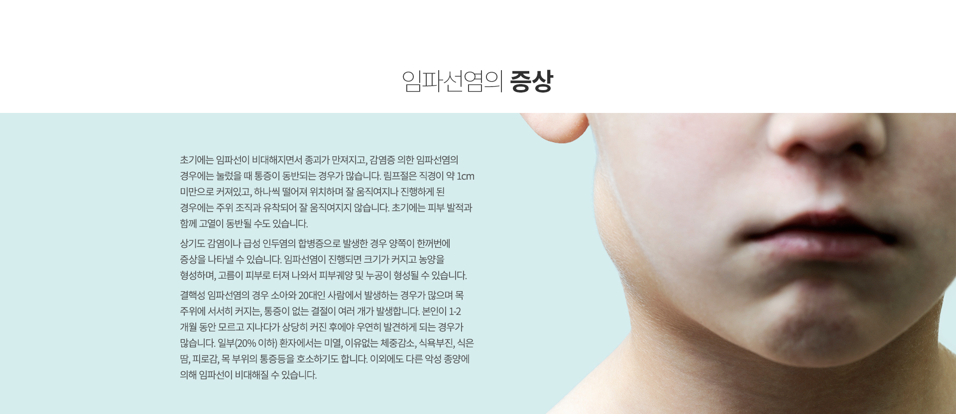 ���ļ���