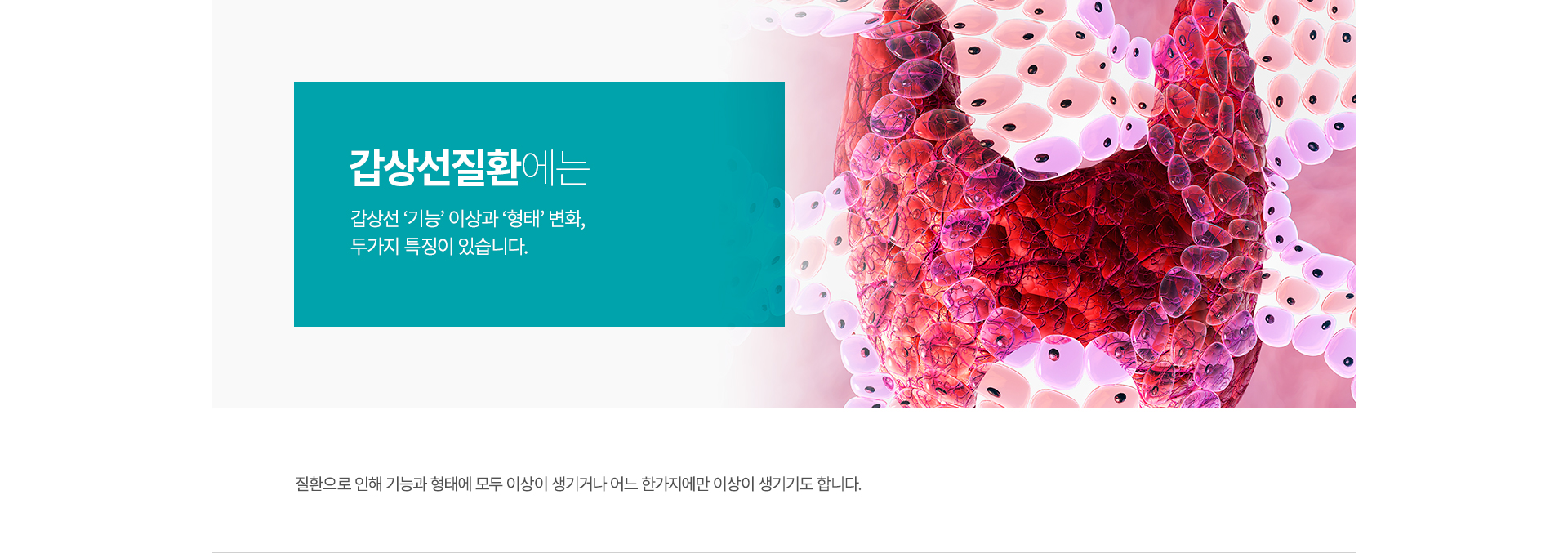 ������ȯ