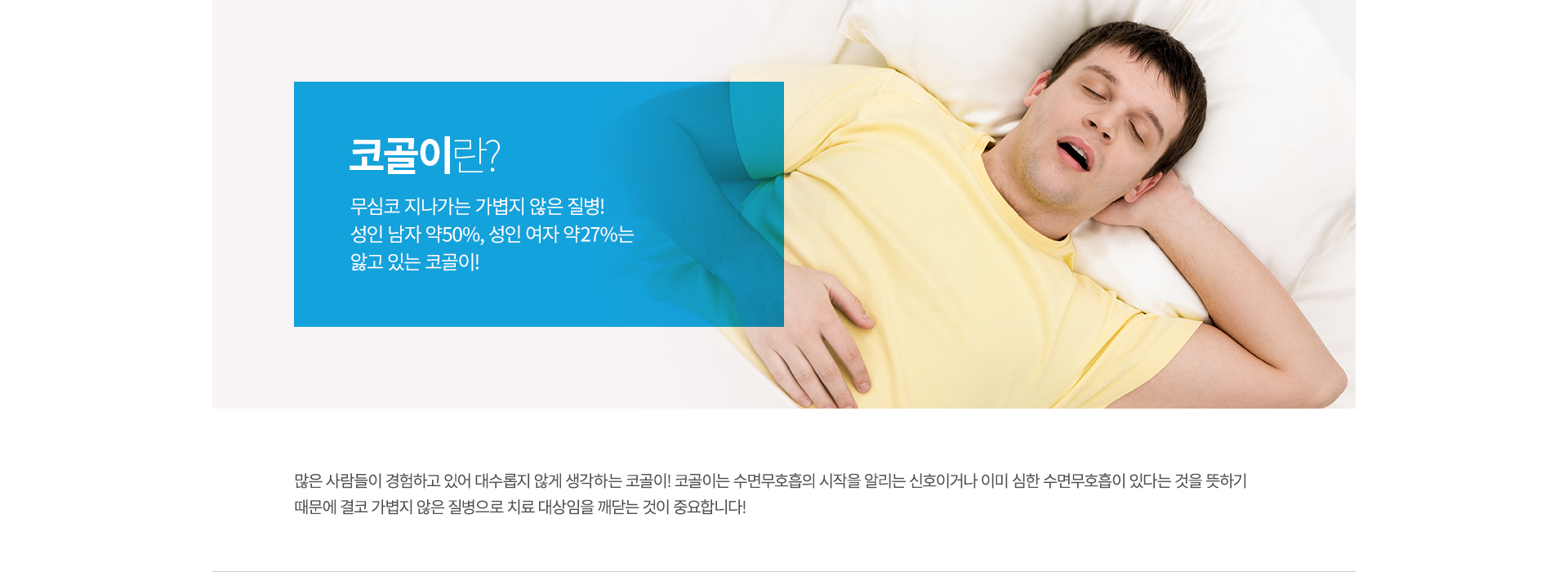 ����˻� �ȳ�