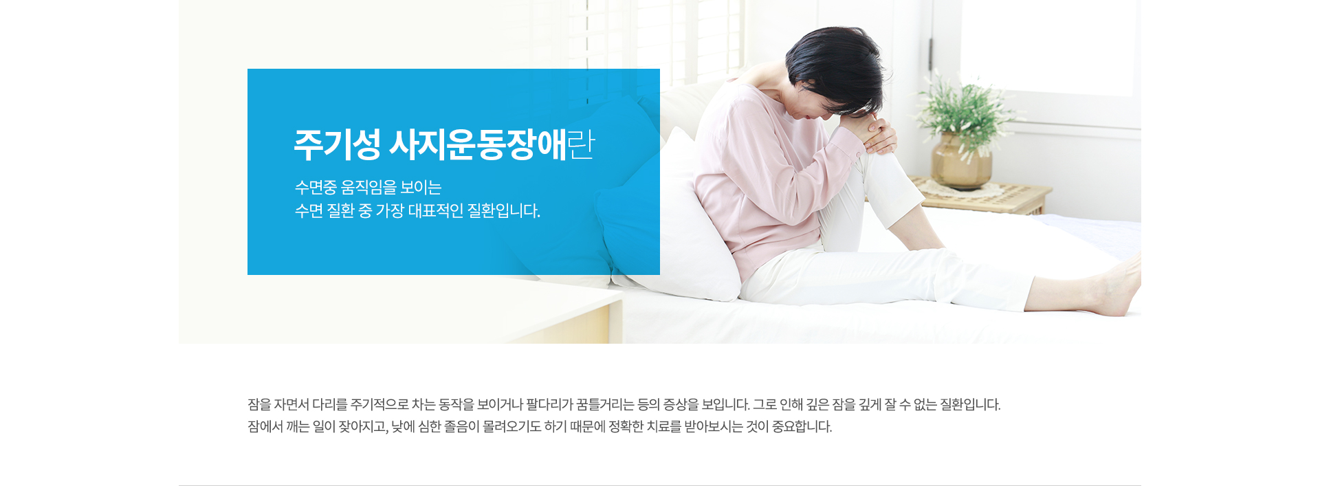 �ֱ⼺ ��������